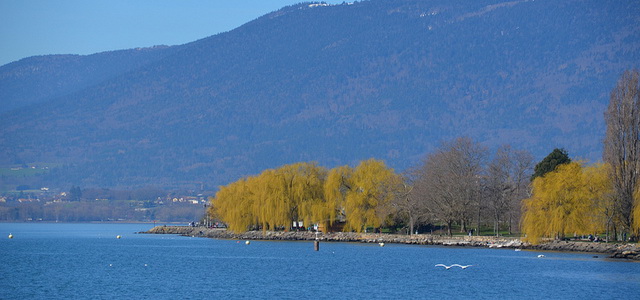 Lake-Neuchatel